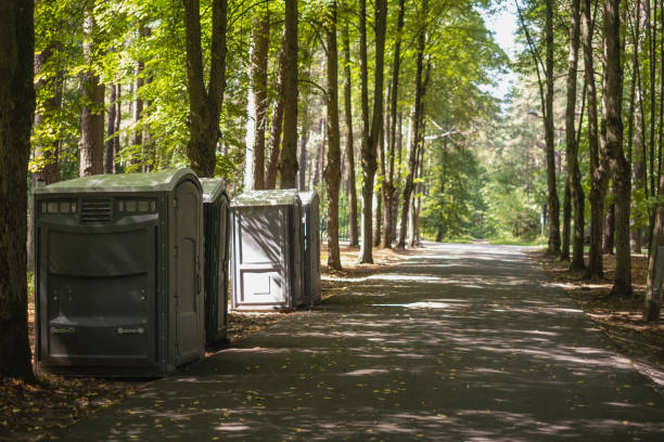 Best Porta potty rental near me  in Collierville, CA